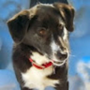 Meet your Posher, Ann